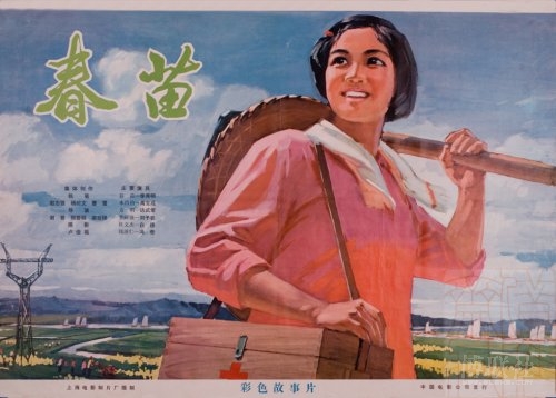 泰普迪尼理工学院电子工程学位证书